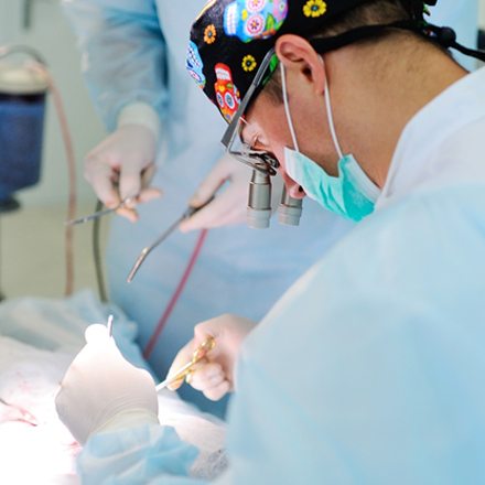 A patient having dental surgery